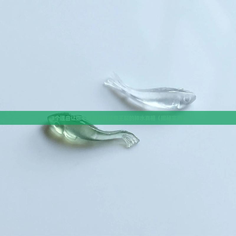 翡翠帝王裂的种水