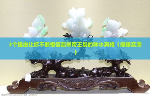 翡翠帝王裂的种水