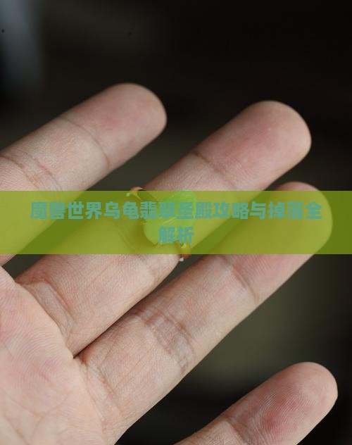 乌龟翡翠圣殿