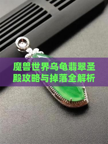 乌龟翡翠圣殿