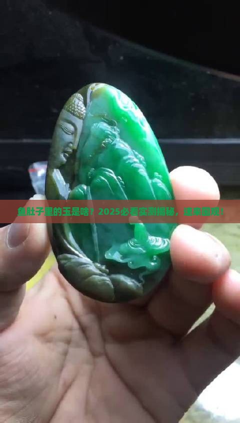鱼肚子的玉在哪里