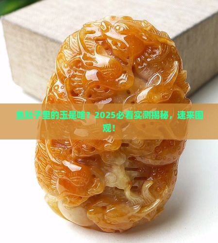 鱼肚子的玉在哪里