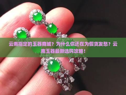 云南指定的玉器商城