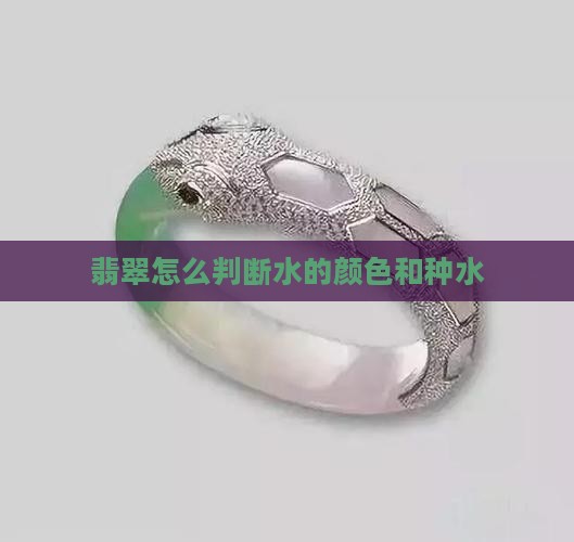 翡翠怎么看种水的颜色
