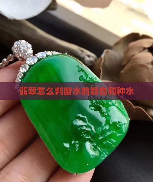 翡翠怎么看种水的颜色