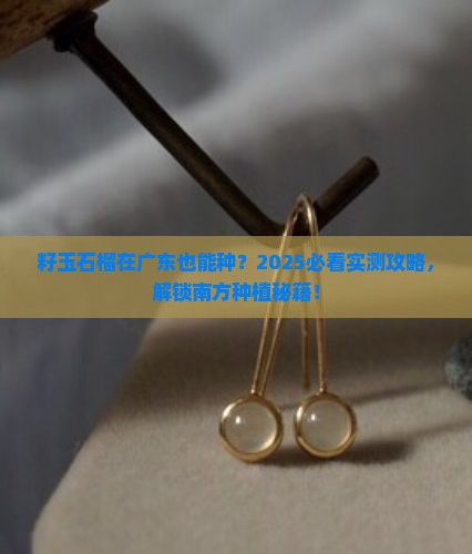 籽玉石榴适合广东