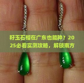 籽玉石榴适合广东