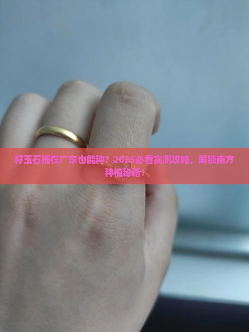 籽玉石榴适合广东