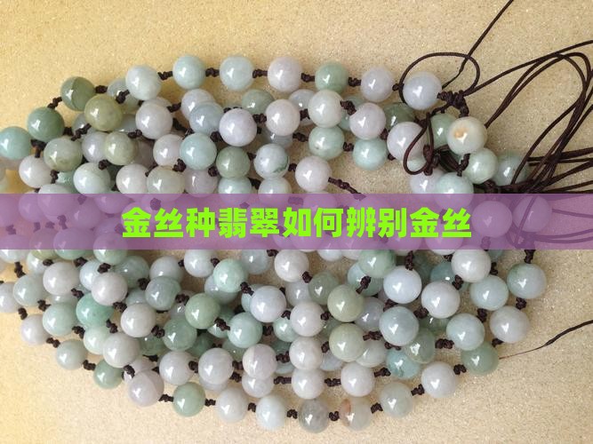 临沧金丝种翡翠辨别方法