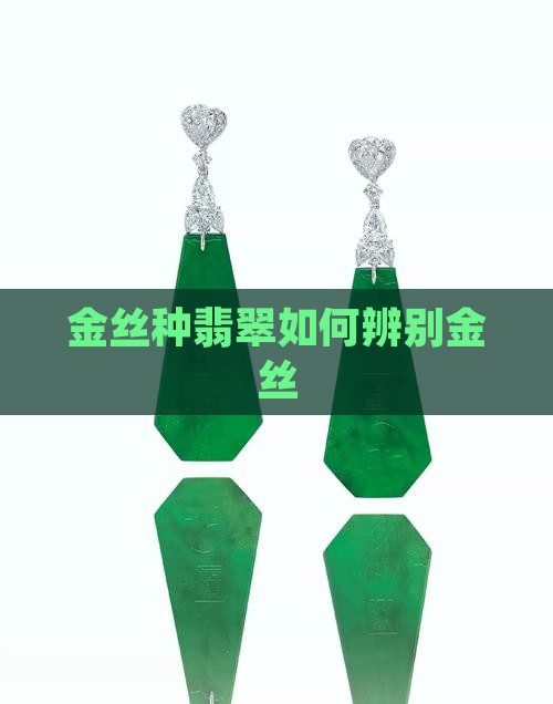 临沧金丝种翡翠辨别方法