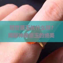 冠世墨玉长什么样
