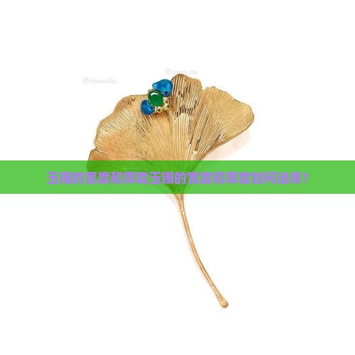 玉镯的宽度和厚度
