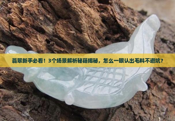那个是翡翠毛料