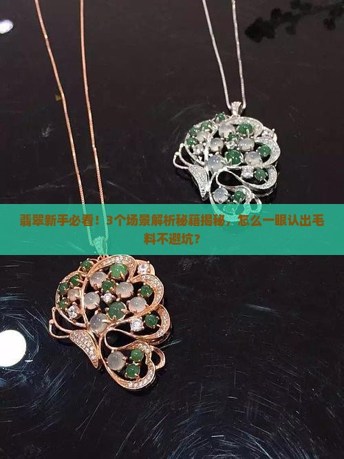那个是翡翠毛料
