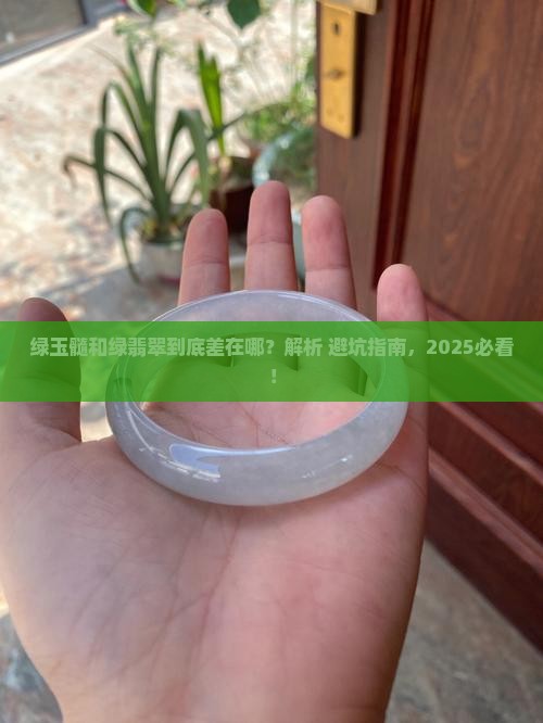 绿玉髓和绿翡翠有什么区别呢