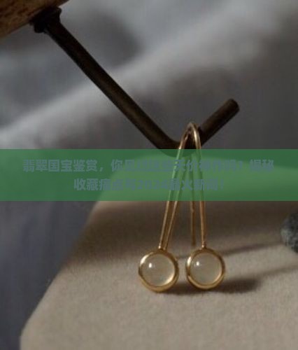 翡翠国宝鉴赏