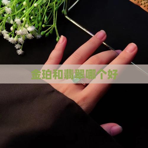 金珀和翡翠哪个好