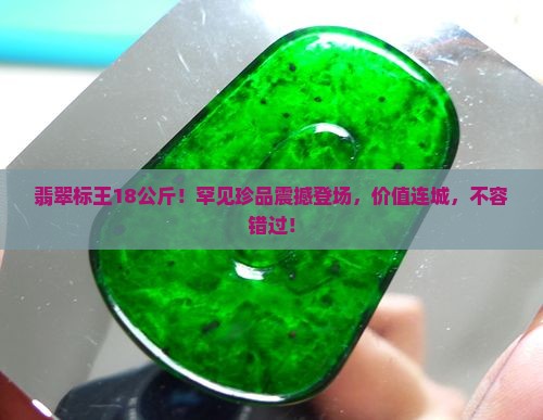 翡翠标王18公斤