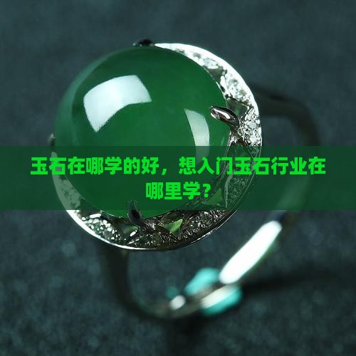 玉石在哪学的好