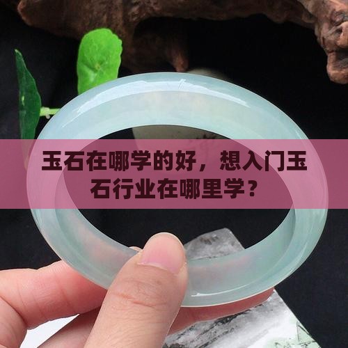 玉石在哪学的好