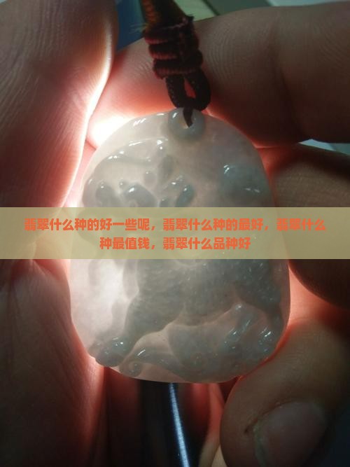 翡翠什么种的好一些