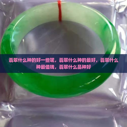 翡翠什么种的好一些