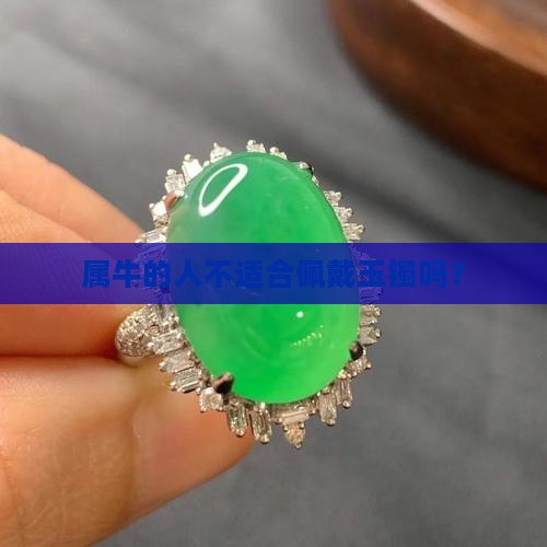 属牛的人不适合佩戴玉镯吗？