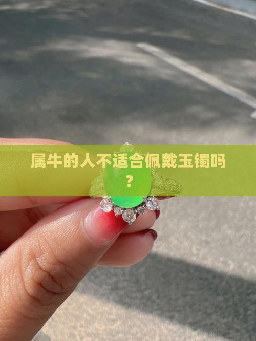 属牛的人不适合佩戴玉镯吗？