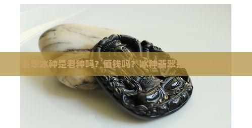 翡翠冰种是老种吗？值钱吗？冰种翡翠是最好种类吗