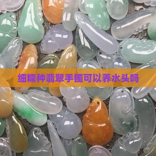 细糯种翡翠手镯可以养水头吗