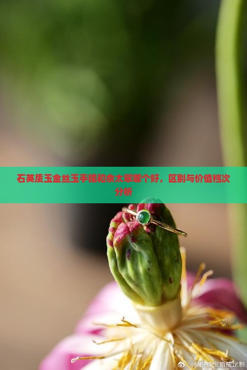 石英质玉金丝玉手镯和佘太翠哪个好，区别与价值档次分析
