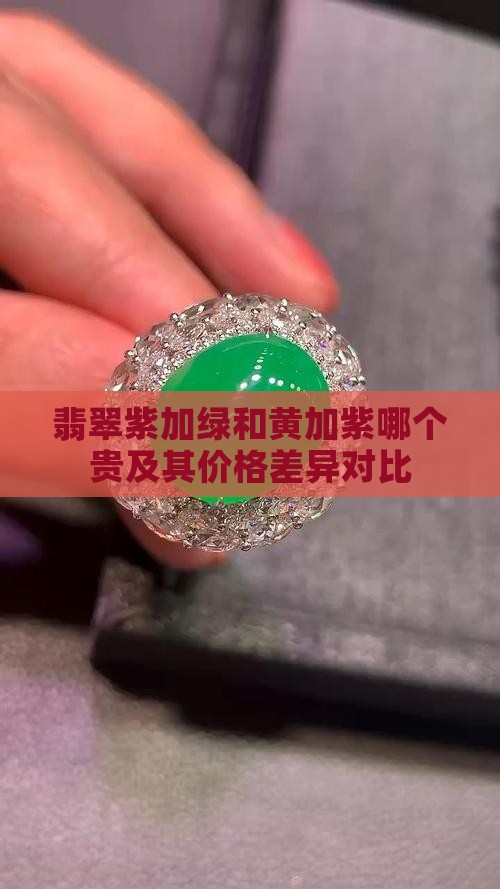 翡翠紫加绿和黄加紫哪个贵及其价格差异对比