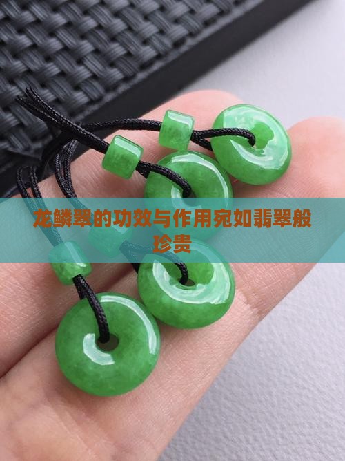龙鳞翠的功效与作用宛如翡翠般珍贵