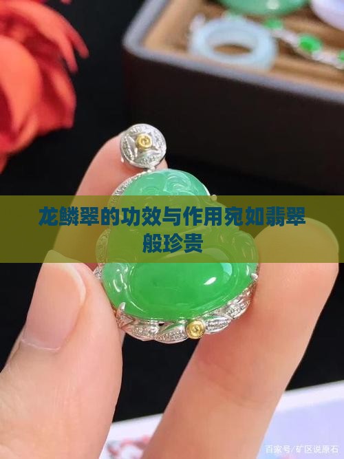 龙鳞翠的功效与作用宛如翡翠般珍贵