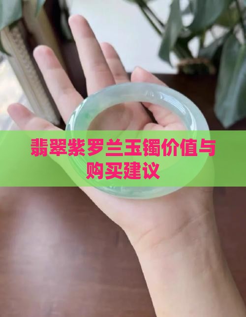 翡翠紫罗兰玉镯价值与购买建议
