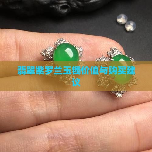 翡翠紫罗兰玉镯价值与购买建议