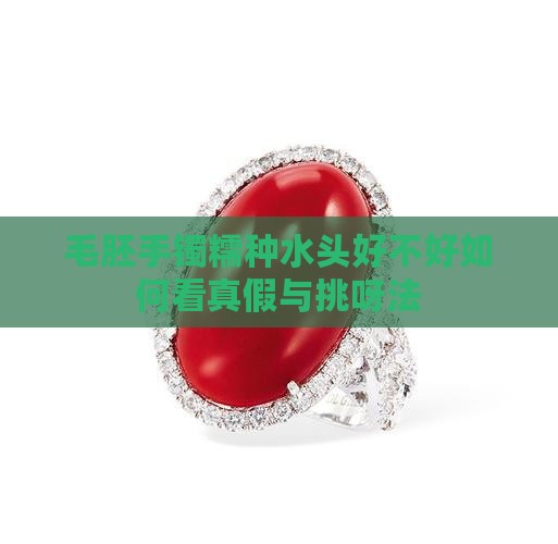 毛胚手镯糯种水头好不好如何看真假与挑呀法