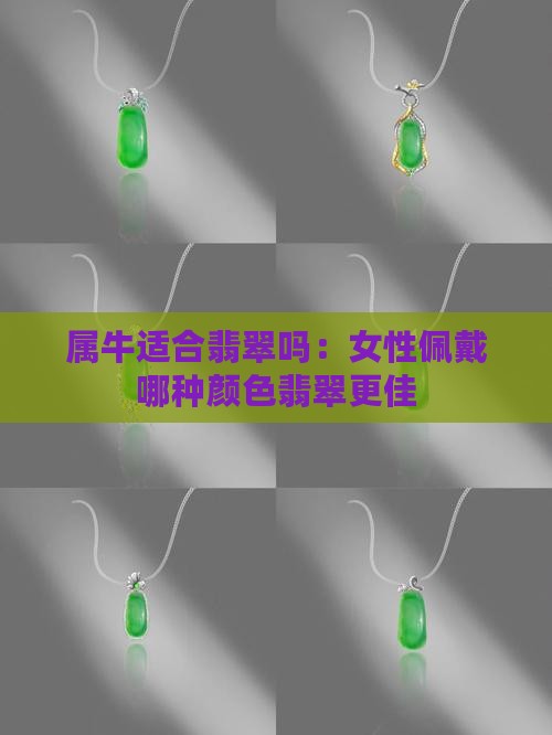 属牛适合翡翠吗：女性佩戴哪种颜色翡翠更佳