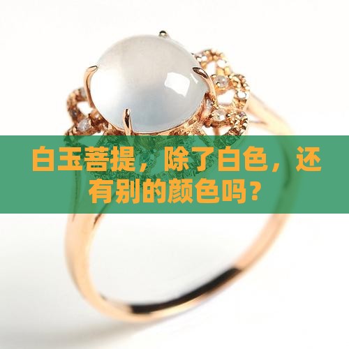 白玉菩提别的颜色