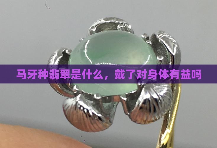 马牙种翡翠戴了对身体有益吗