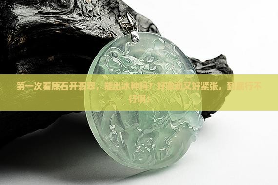 看原石开翡翠