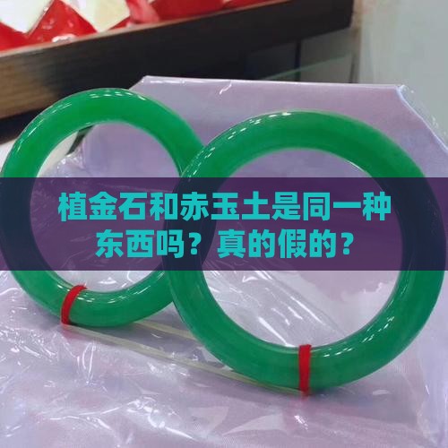 植金石和赤玉土一回事吗