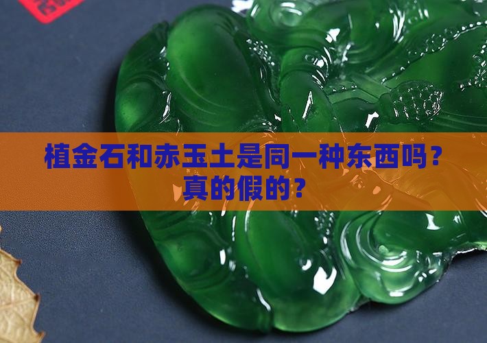 植金石和赤玉土一回事吗