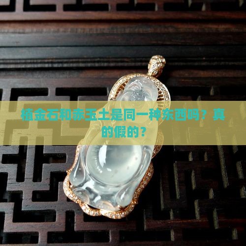 植金石和赤玉土一回事吗