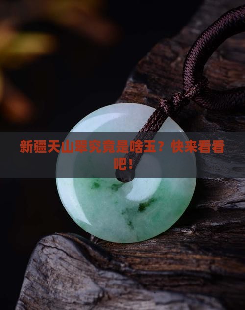 新疆天山翠属于什么玉