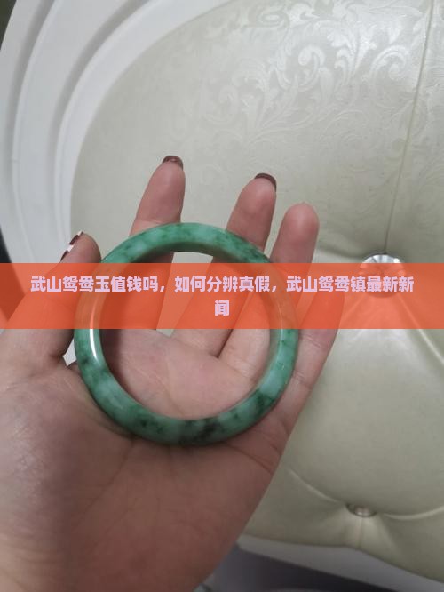 武山鸳鸯玉值钱吗
