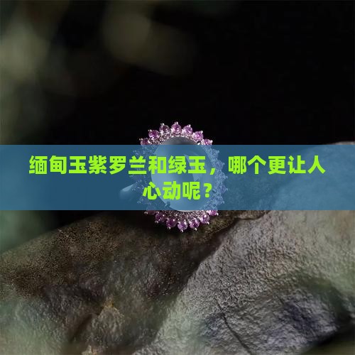 缅甸玉紫罗兰跟绿玉哪个好