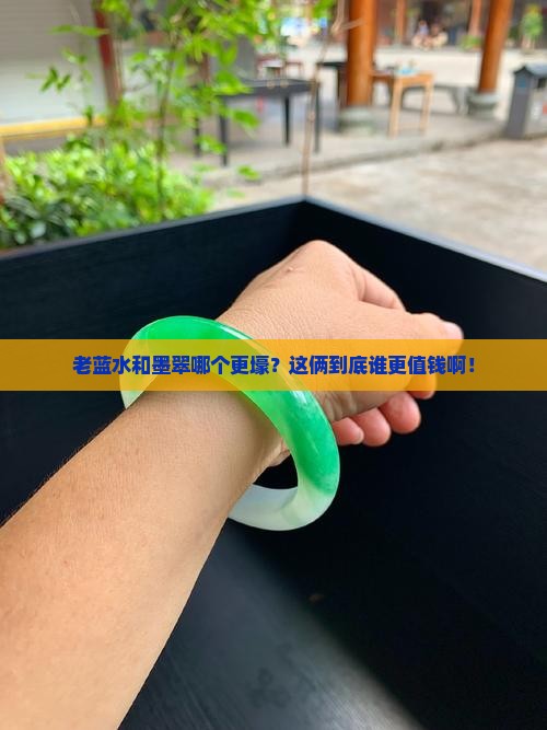 老蓝水和墨翠哪个值钱