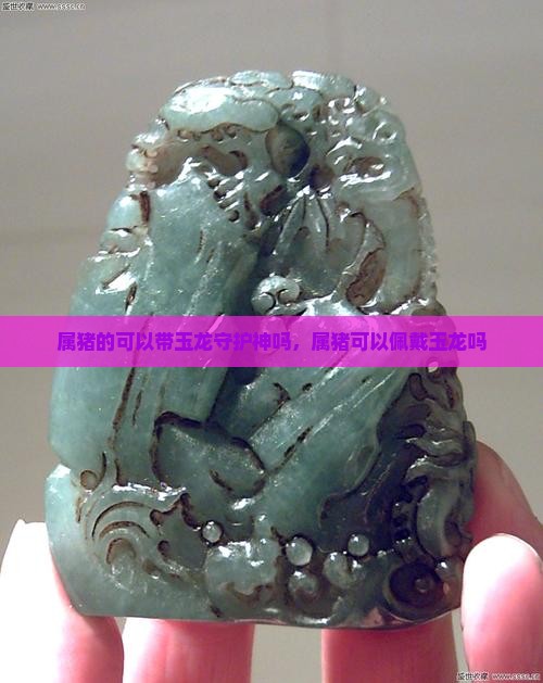 属猪的可以带玉龙守护神吗