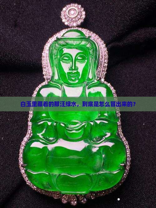 白玉咋往出缓绿水